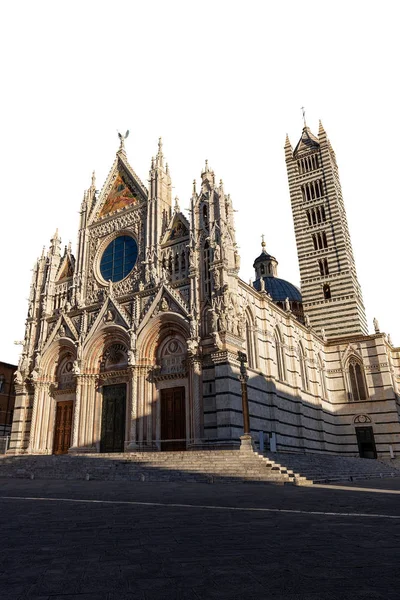 Katedral Siena diisolasi dengan latar belakang putih - Tuscany Italia — Stok Foto