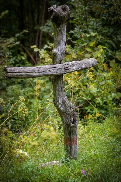 Närbild Ett Kristet Träkors Två Grenar Skogen Italienska Alperna Italien — Stockfoto