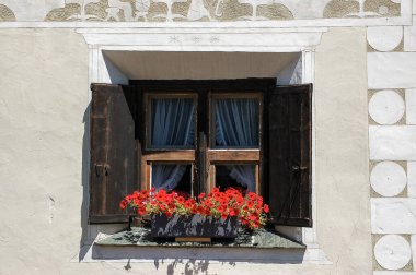 Kırmızı petunya çiçekleri olan eski bir ahşap pencereye yakın çekim. Engadin Vadisi, Graubunden Kantonu, İsviçre, Avrupa