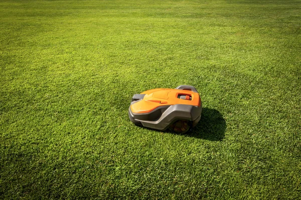 Robô Cortador Grama Laranja Cinza Automático Move Grama Verde Vista — Fotografia de Stock