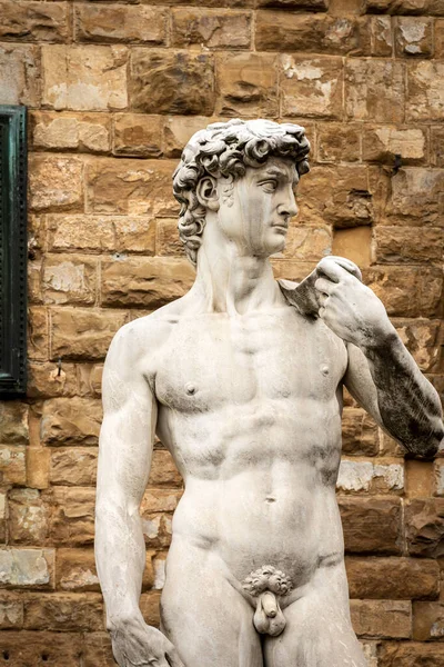 Closeup Statue David Michelangelo Buonarroti Chef Œuvre Sculpture Renaissance Sur — Photo