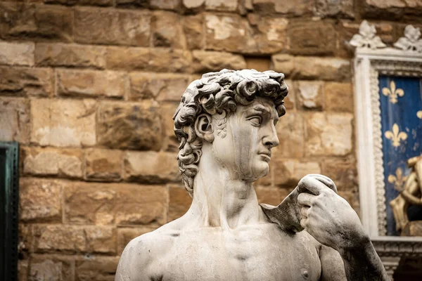 Primer Plano Estatua Del David Por Michelangelo Buonarroti Obra Maestra —  Fotos de Stock