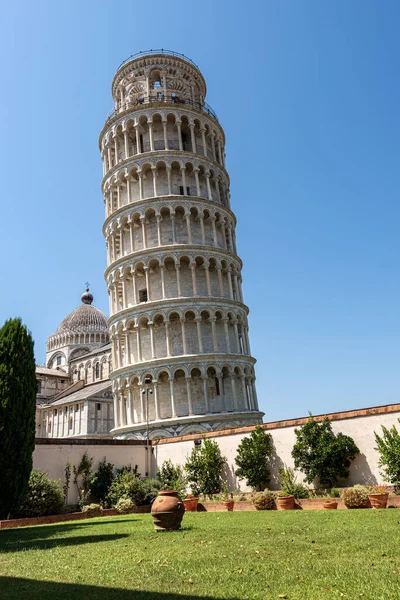 Pisa Eğik Kule Katedral Duomo Santa Maria Assunta Piazza Dei — Stok fotoğraf