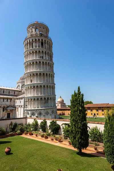 Пиза Откидная Башня Кафедральный Собор Duomo Santa Maria Assunta Площадь — стоковое фото