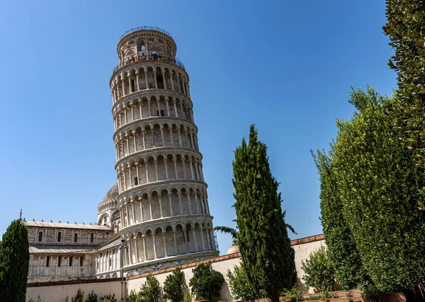 Pisa Det Lutande Tornet Och Katedralen Duomo Santa Maria Assunta — Stockfoto