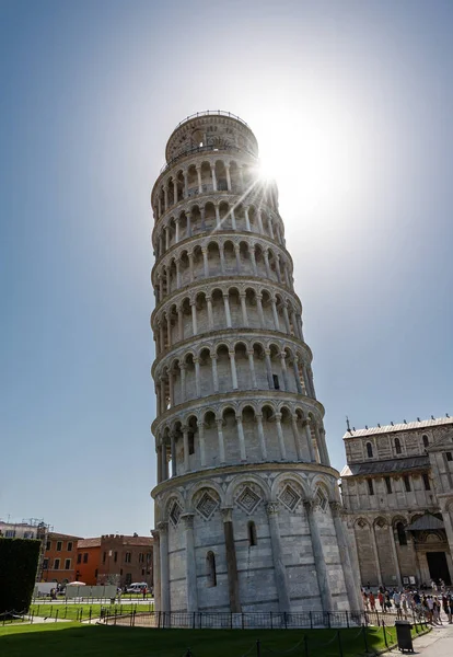 Mucizeler Meydanı Nda Piazza Dei Miracoli Pisa Kulesi Nin Işığı — Stok fotoğraf