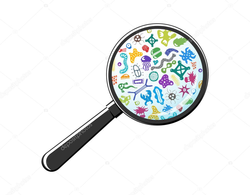 Bacterial microorganism through magnifying glass. Bacteria, germs, micro-organisms, bacteria, viruses, fungi, protozoa under the rejuvenating glass, magnifier. Vector colorful illustration