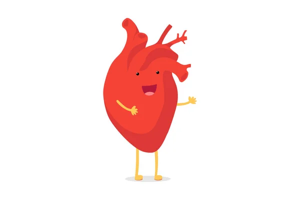 Leuke cartoon glimlachend gezond hart karakter gelukkig Emoji emotie. Grappige bloedsomloop orgel cardiologie. Vector illustratie — Stockvector