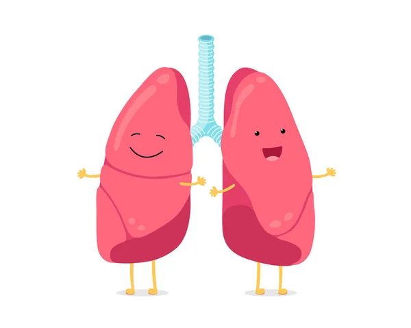 Lindo personaje de dibujos animados divertidos pulmones. Pulmón sonriente fuerte. Sistema respiratorio humano feliz mascota órgano interno. Anatomía saludable illusrtation vector plano — Vector de stock