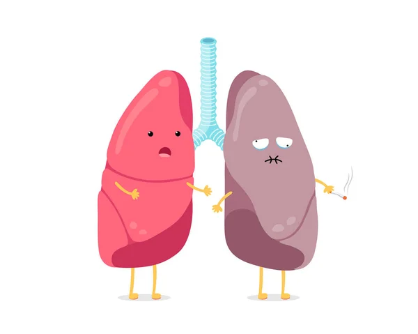 Lindo personaje de dibujos animados pulmones sano y fumador. Fuerte pulmón sorprendido y enferma mascota fumadora. Sistema respiratorio humano órgano interno comparar. Ilustración vector anatomía médica — Vector de stock