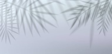 Tropik palmiye yaprağı gölgesi beyaz duvarda güneş ışığı yansıması ile kaplanır. Yaz sahili tasarımı, sunumu, modeli veya egzotik doğa şablonu için gerçekçi vektör silueti arka planı.