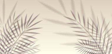 Duvarda güneş ışığı bulanıklığı olan tropik palmiye yaprağı gölgesi. Gerçekçi vektör egzotik plaj şablonu, sunum, bahar doğa tasarımı veya modelleme ögesi için arka plan örtüsü.