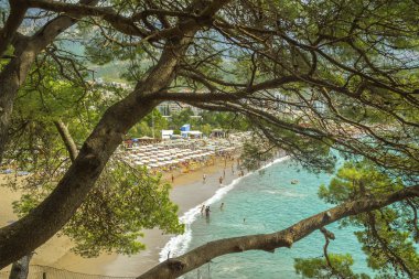 Plaj şemsiye ve şezlonglar ile. Dağ ağaçların arasından gelen görüntüleyin. Budva. Karadağ 09 Eylül 2017