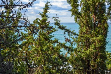 Çam ağaçlarının yetiştiği dağ, denizden görünümünü. Karadağ. Budva Riviera. Becici