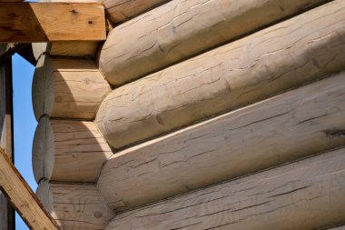 Ahşap bir ev inşaatı Silindire tomruklardan. Ekolojik ev.