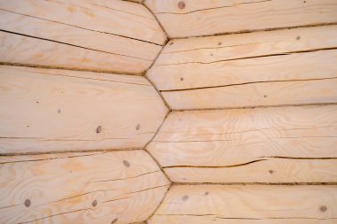 Günlük kabin, yeni bir ahşap ev günlüğündeki bir parçası. Sarı ve ocherous yaz doku. Yatay şeritler