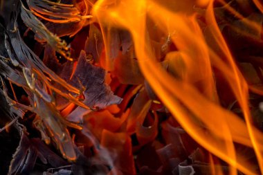 Arka plan ateş, kömürler, alevler ve kül büküm unsurları