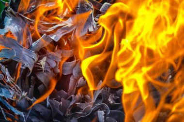 Arka plan ateş, kömürler, alevler ve kül büküm unsurları