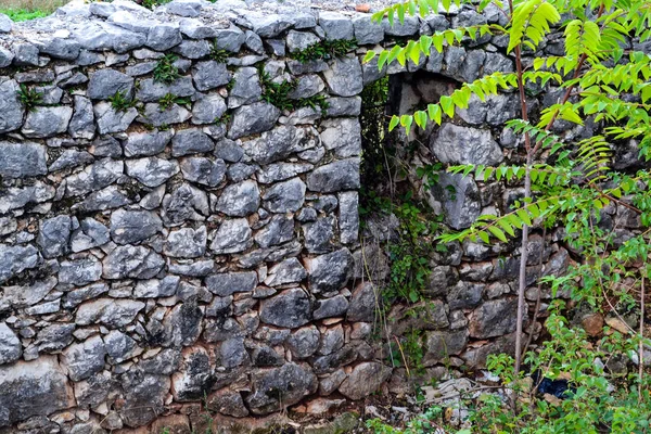 Ancient Stone Wall Ruined House Door Grass Old House Ruins — Stock Photo, Image