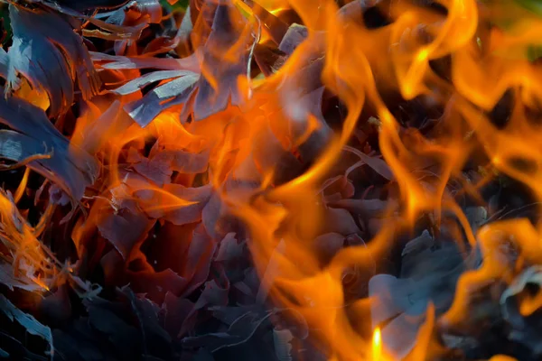 Abstract Background Fire Coals Flames Twisting Elements Ash — Stock Photo, Image