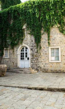 Ivy ile büyümüş bir eski ev cephe. Pencere ve kapı. Budva eski şehir. Karadağ