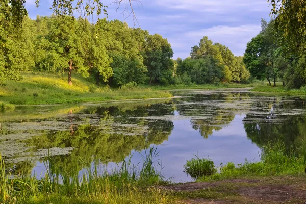 Bella Vista Sul Lago Lago Coperto Anatra Cielo Tra Nuvole — Foto Stock