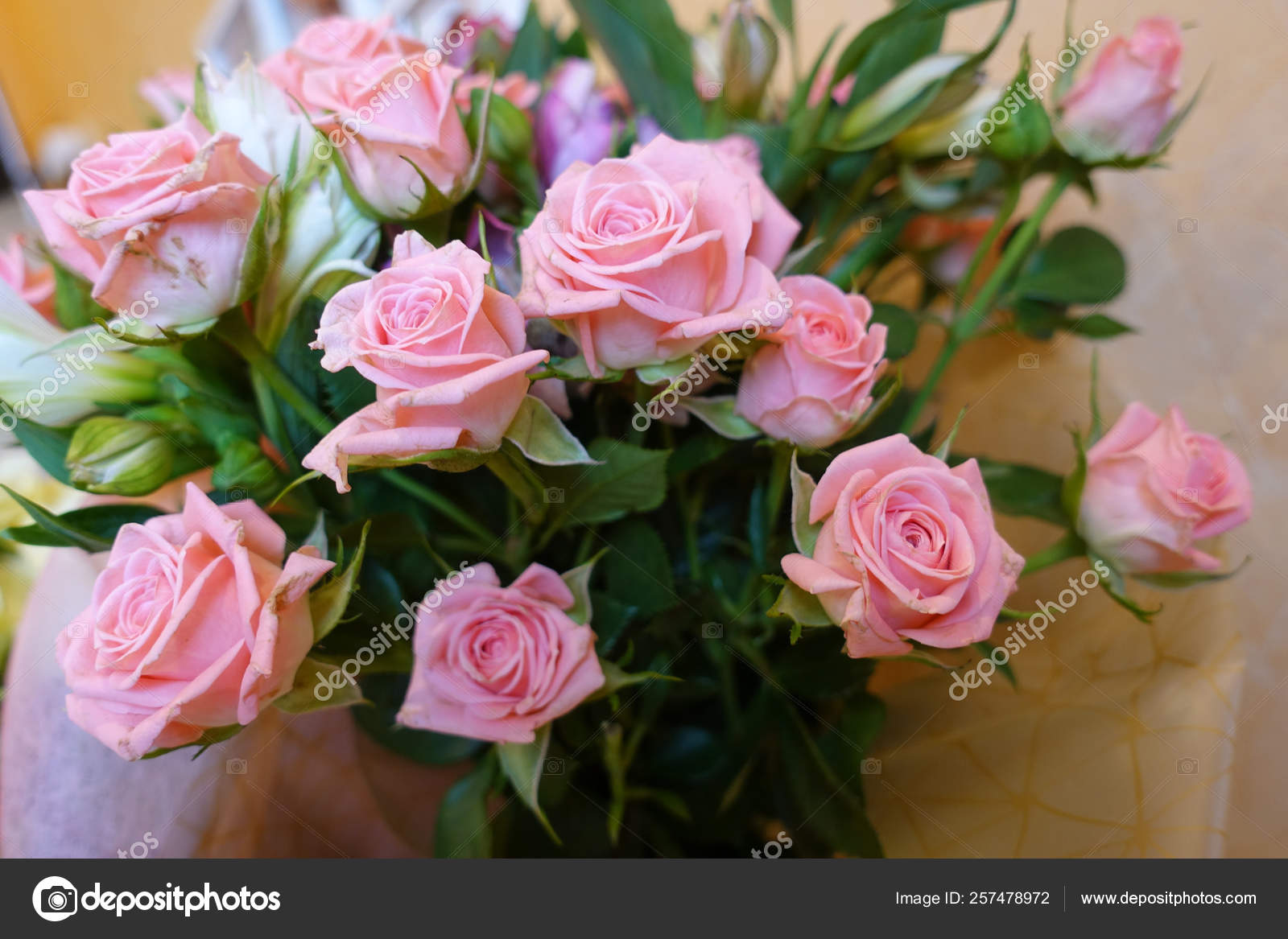 ピンクのバラ花束クローズアップ プラドニチニーの花束存在 ストック写真 C Legart