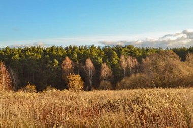 Wide steppe valley with yellow grass under cloudy sky, Russia