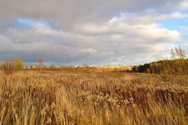 Sonbahar manzarası. Kuru otlu tarla. Kuru sararmış çimenler ve kara bulutlar