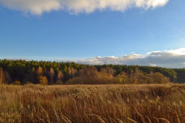 Wide steppe valley with yellow grass under cloudy sky, Russia