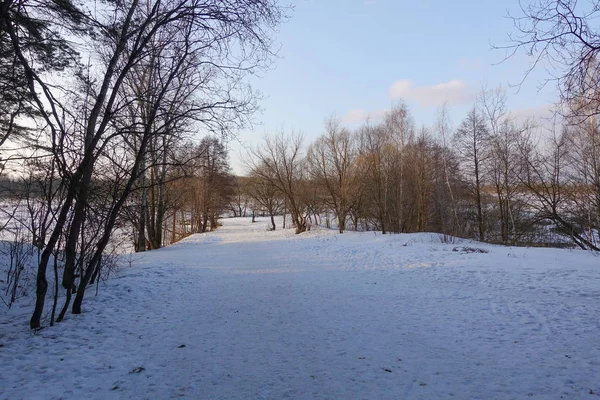 美しい田舎の風景。早春。木々は太陽に照らされている。雪と青空ロシア。3月 — ストック写真