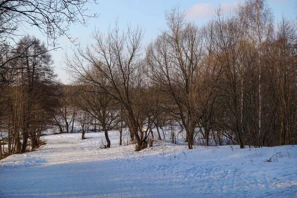 美しい田舎の風景。早春。木々は太陽に照らされている。雪と青空ロシア。3月 — ストック写真