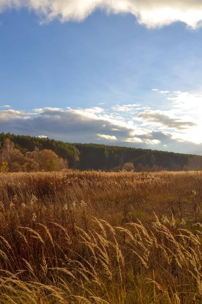 Wide steppe valley with yellow grass under cloudy sky, Russia — Stock Photo, Image