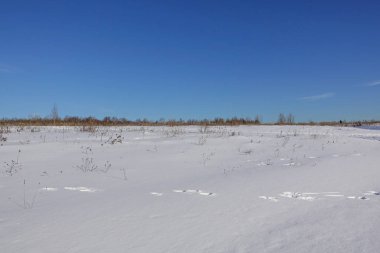 Karla kaplı alan. Ve mavi gökyüzü. Frosty kış günü.
