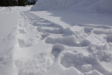 kışın karlı yolda bir kamyon lastiği izi