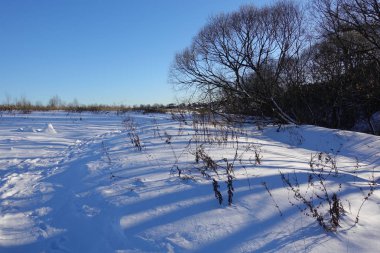 rural winter landscape with a field snow and the blue sky