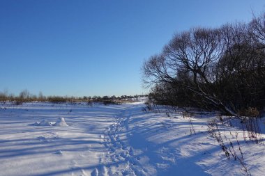 rural winter landscape with a field snow and the blue sky