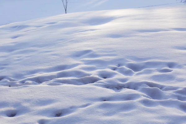 Snow drifts and footprints in the snow. Sunny day. Winter background. — Stock Photo, Image