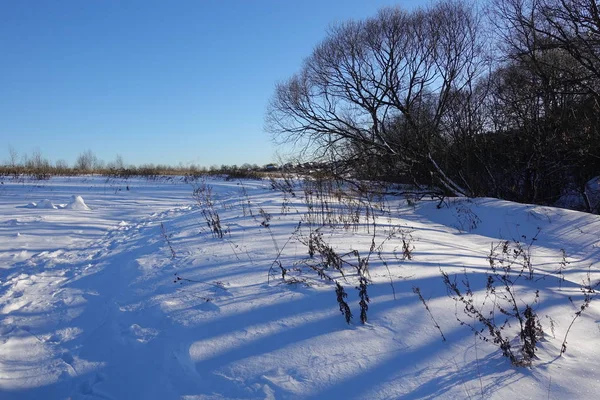 Paisaje de invierno rural con un campo de nieve y el cielo azul — Foto de Stock