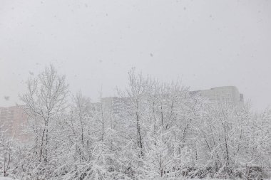 Şehirde yoğun kar yağışı. Sokaklar, evler, ağaçlar karla kaplı