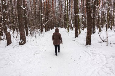 Kış ormanında ceketli bir kadının arkasından manzara