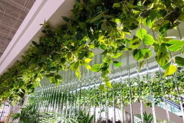 Kapalı tesisler ile modern iç tasarım.