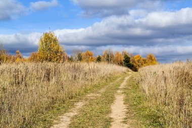 Kir yol mesafe ve bulutlu bir gökyüzü ile bir alan içine uzanan. Sonbahar rahatlatıcı manzara