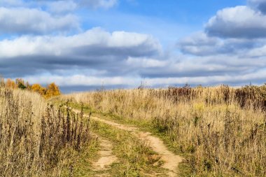 Kir yol mesafe ve bulutlu bir gökyüzü ile bir alan içine uzanan. Sonbahar rahatlatıcı manzara