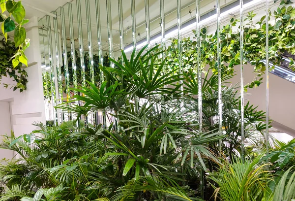 Modern interior design with indoor plants.