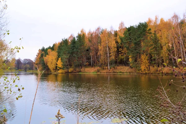 Panoramiczny krajobraz z jeziorem w jesienny deszczowy dzień — Zdjęcie stockowe