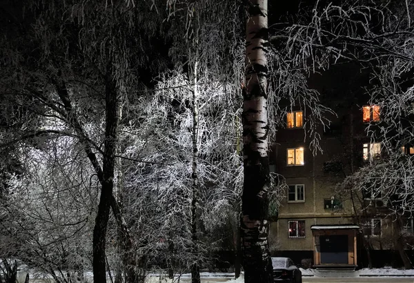 Двор многоэтажного жилого дома ночью. Несколько окон светятся в темноте. Береза, покрытая снегом. Россия. Московская область — стоковое фото