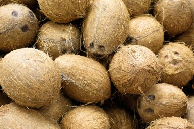 Gıda pazarında hindistan cevizi yığını