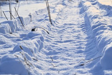 Toprak yolda karlı bir alanda yol parkuru