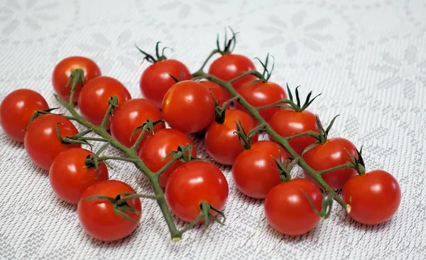 Tomates cerises sur une branche en deux rangées sur une table avec une nappe couverture — Photo